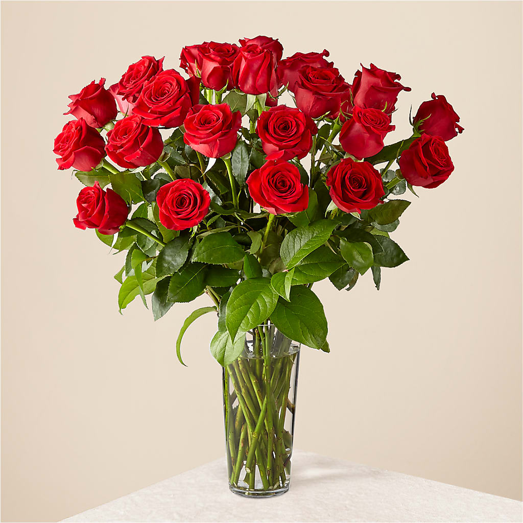 Long Stem Red Rose Bouquet – MC MAHON'S HOUSE OF FLOWERS INC, Kingston ON