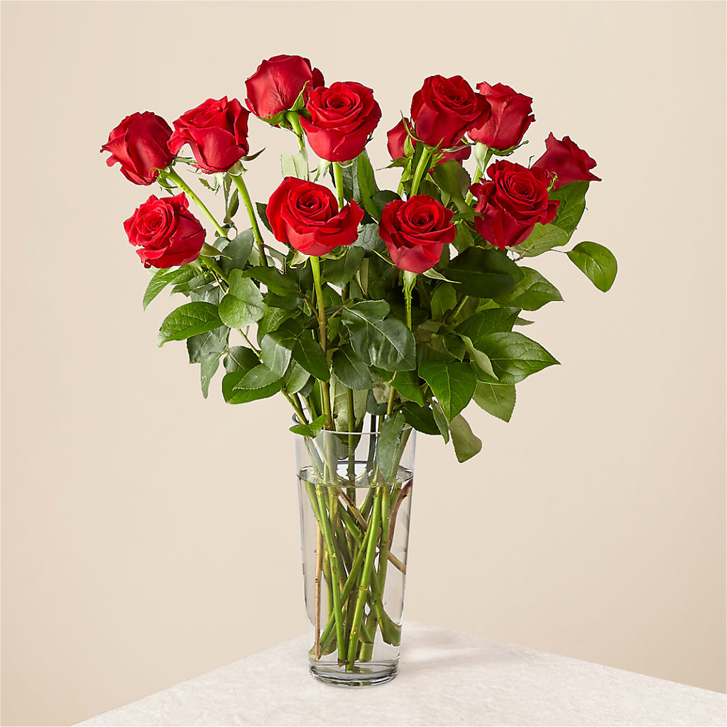 Long Stem Red Rose Bouquet – MC MAHON'S HOUSE OF FLOWERS INC, Kingston ON