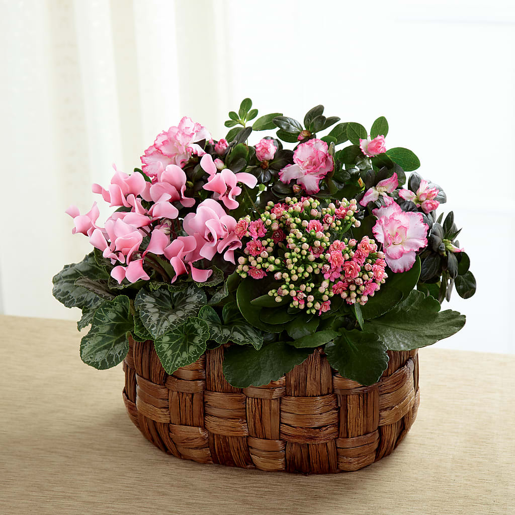 Pink Assortment – MC MAHON'S HOUSE OF FLOWERS INC, Kingston ON