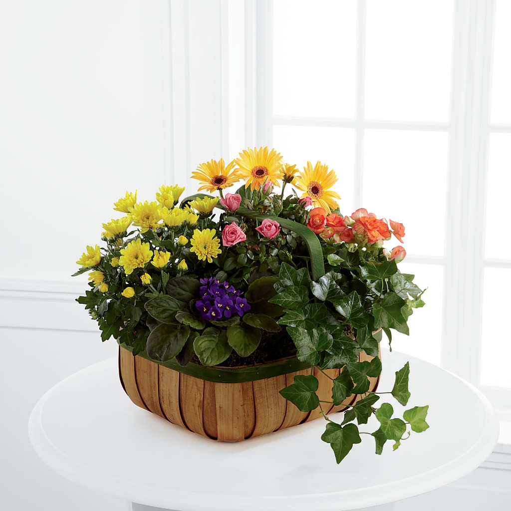 Gentle Blossoms Basket – MC MAHON'S HOUSE OF FLOWERS INC, Kingston ON