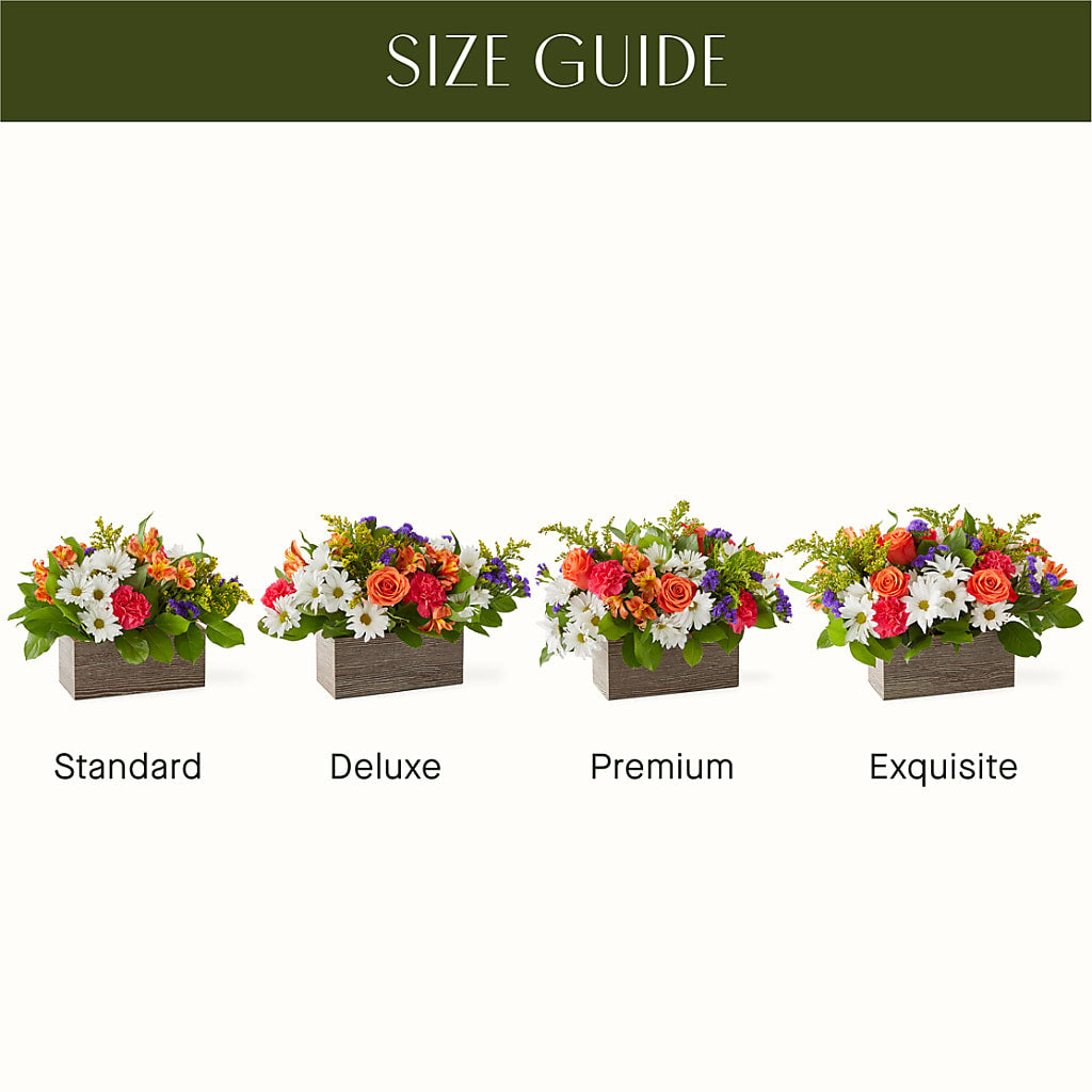 Oopsie Daisy Box Bouquet – MC MAHON'S HOUSE OF FLOWERS INC, Kingston ON