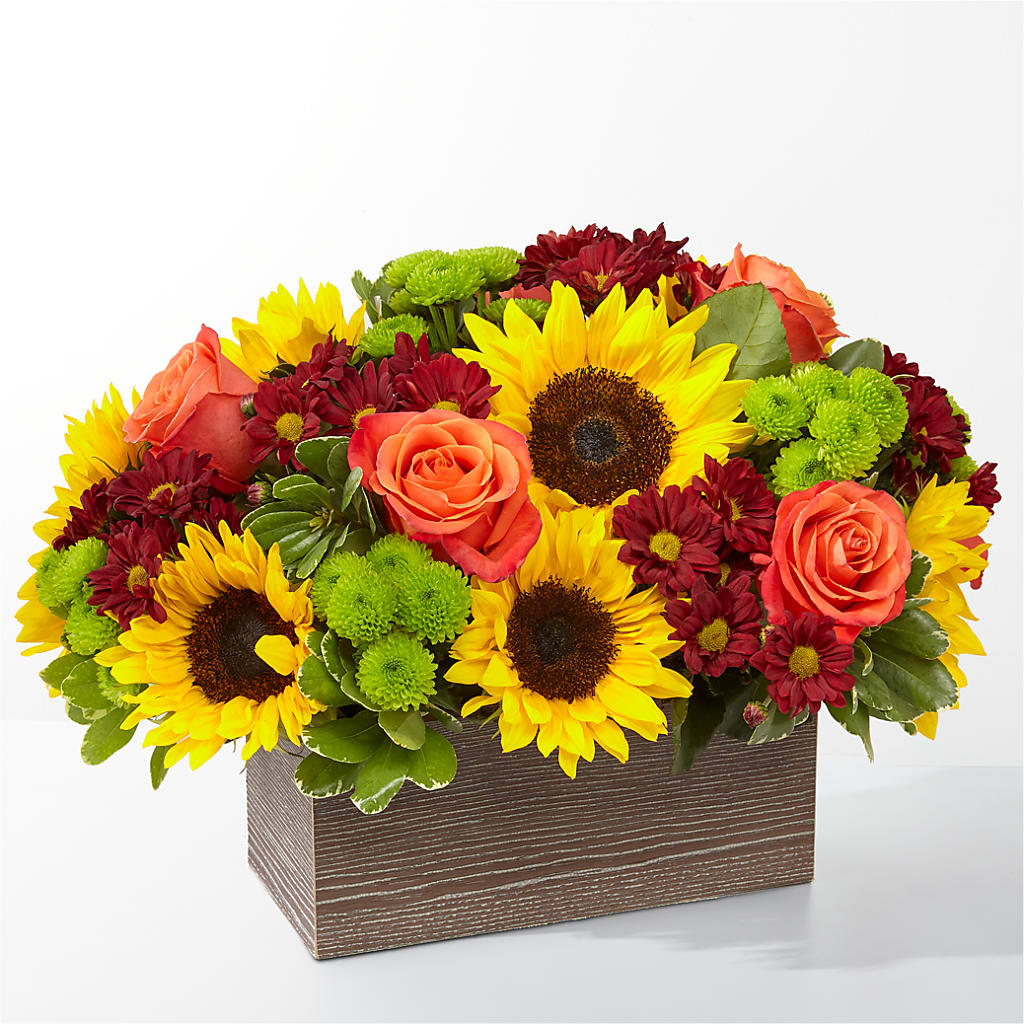 Happy Harvest Garden – MC MAHON'S HOUSE OF FLOWERS INC, Kingston ON
