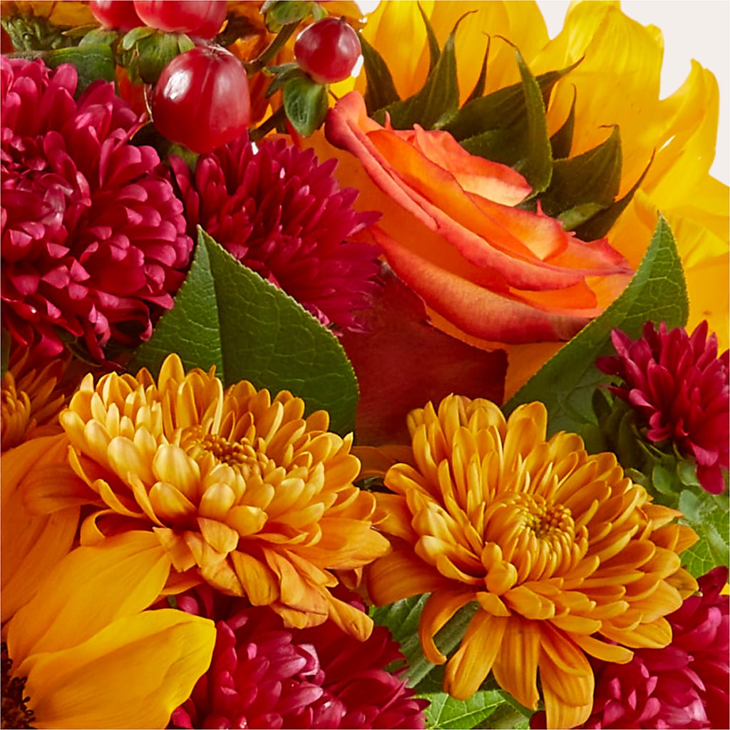 Sweater Season - A Florist Original – MC MAHON'S HOUSE OF FLOWERS INC, Kingston ON