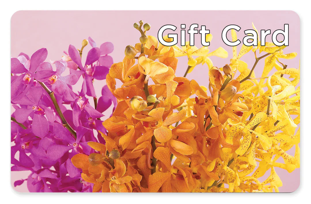 Gift Card – MC MAHON'S HOUSE OF FLOWERS INC, Kingston ON