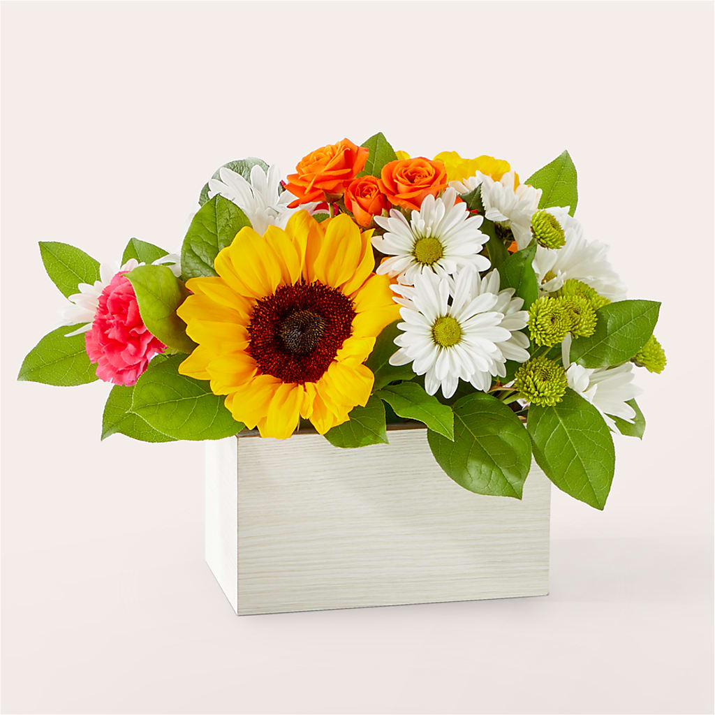 Sun-drenched Blooms Box Bouquet – MC MAHON'S HOUSE OF FLOWERS INC, Kingston ON