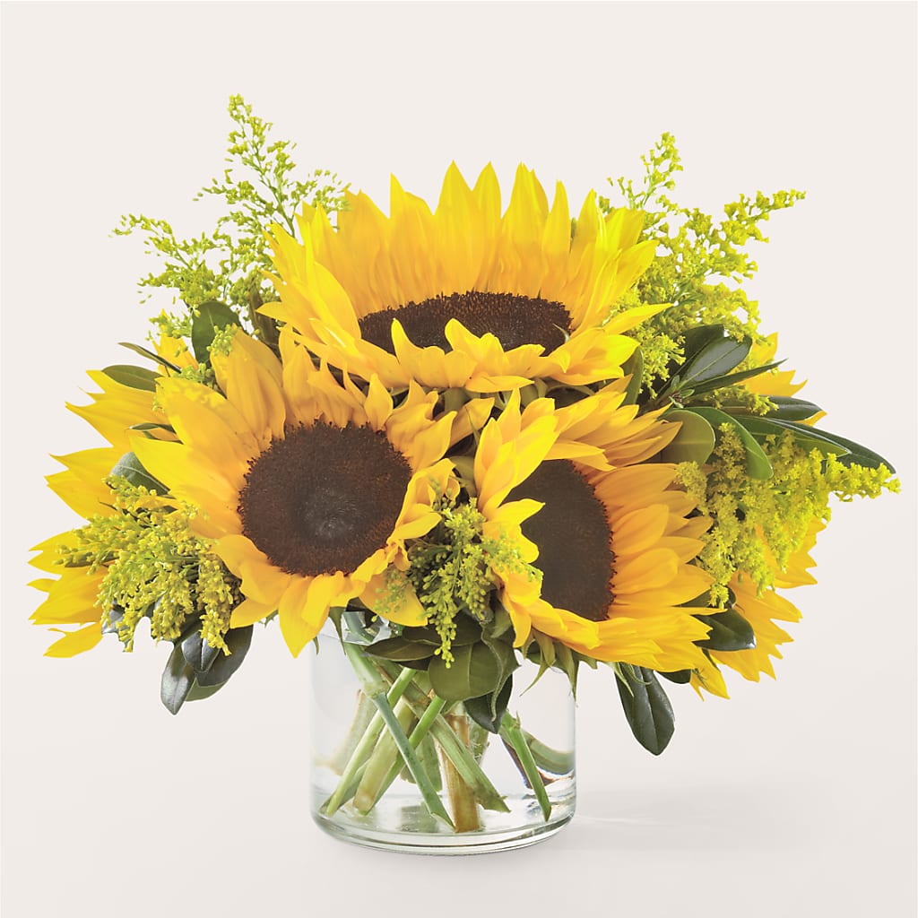 Beaming Sunflower Bouquet – MC MAHON'S HOUSE OF FLOWERS INC, Kingston ON