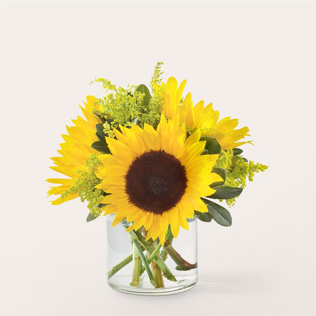 Beaming Sunflower Bouquet – MC MAHON'S HOUSE OF FLOWERS INC, Kingston ON