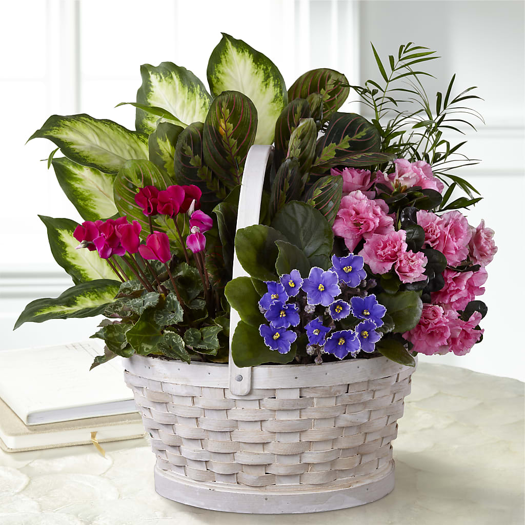 Peaceful Garden Planter – MC MAHON'S HOUSE OF FLOWERS INC, Kingston ON
