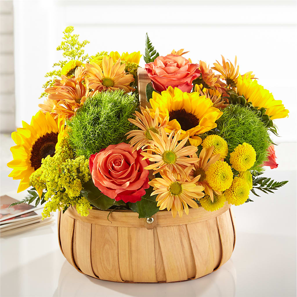 Harvest Sunflower Basket – MC MAHON'S HOUSE OF FLOWERS INC, Kingston ON