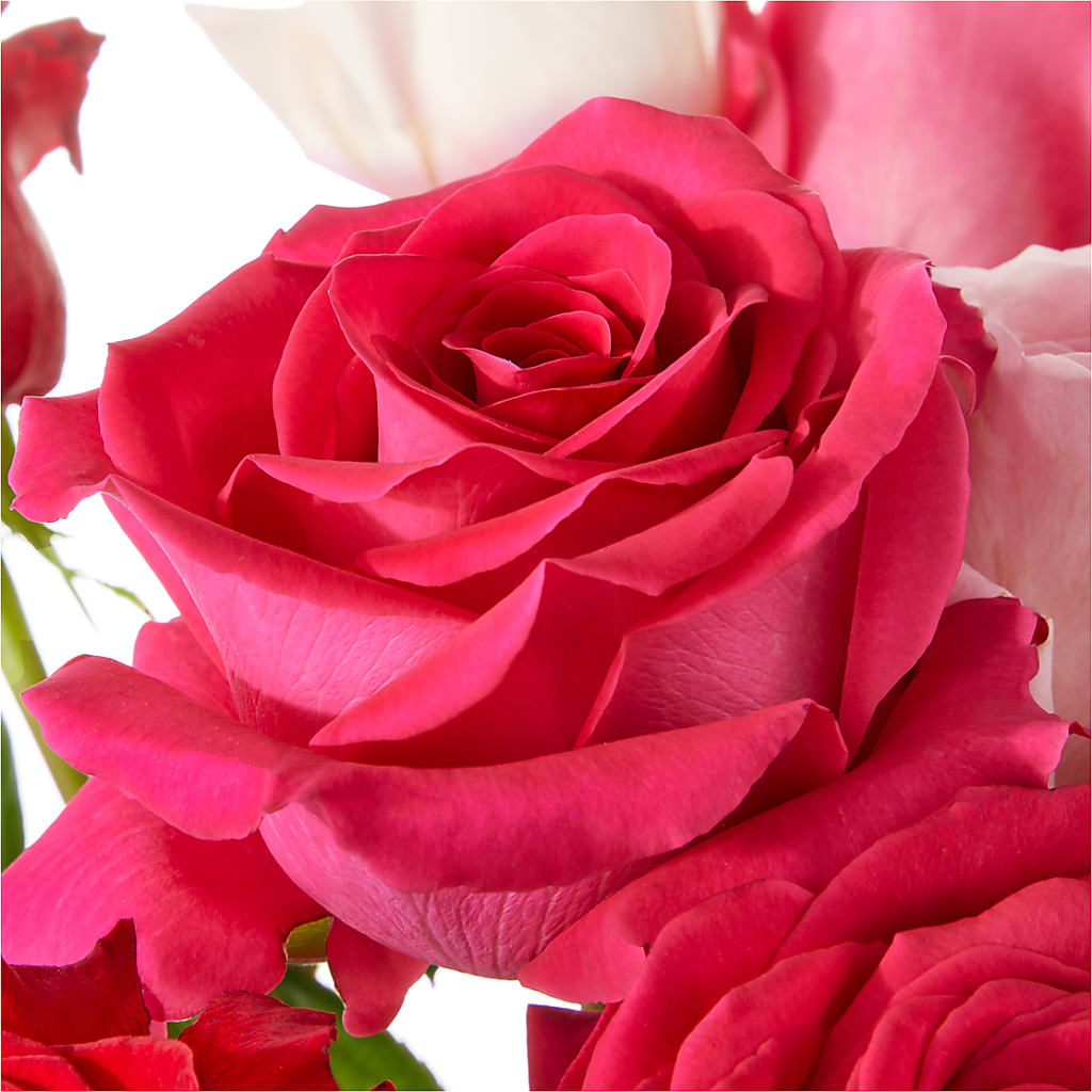 Love Notes Rose Bouquet – MC MAHON'S HOUSE OF FLOWERS INC, Kingston ON
