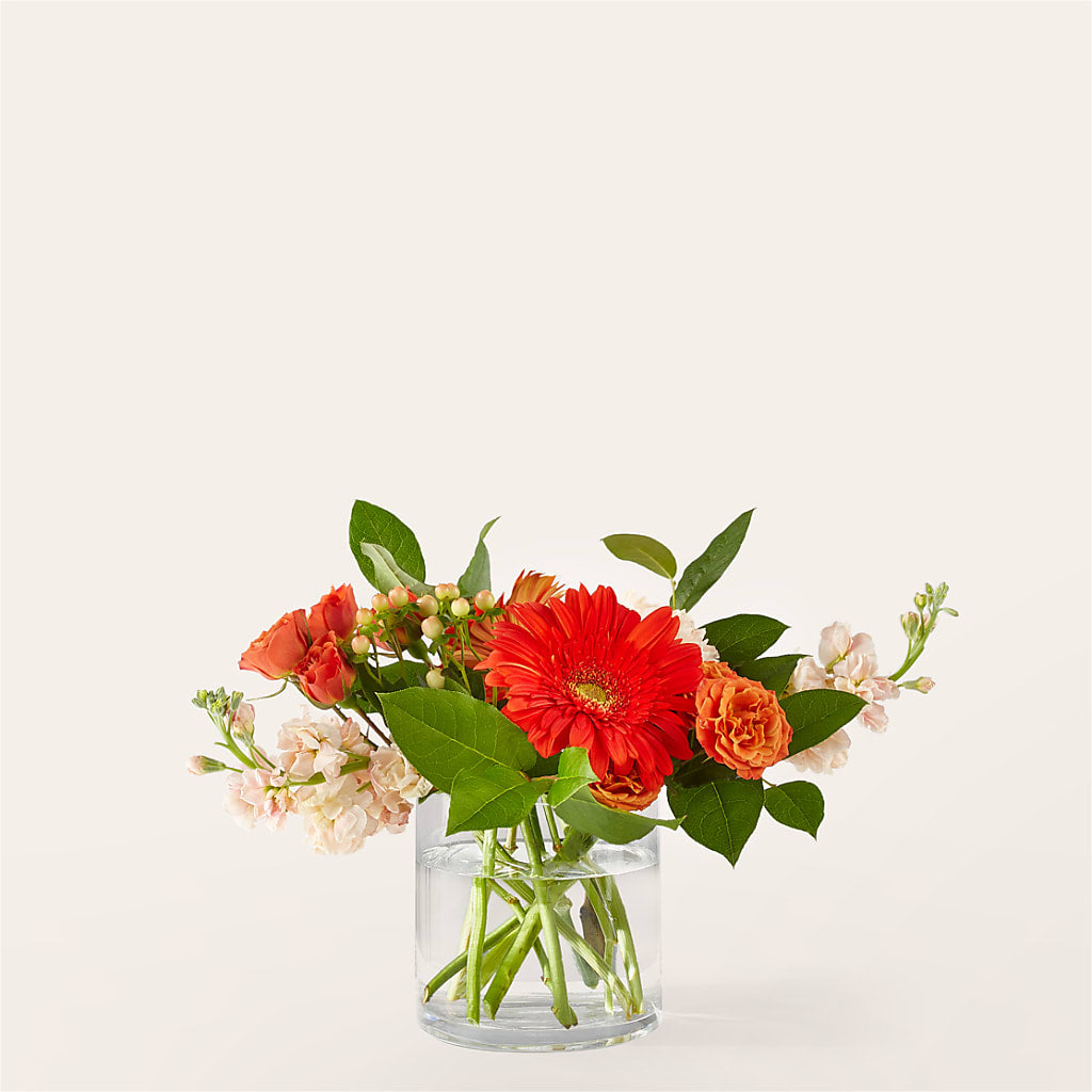 Paloma Please Bouquet – MC MAHON'S HOUSE OF FLOWERS INC, Kingston ON