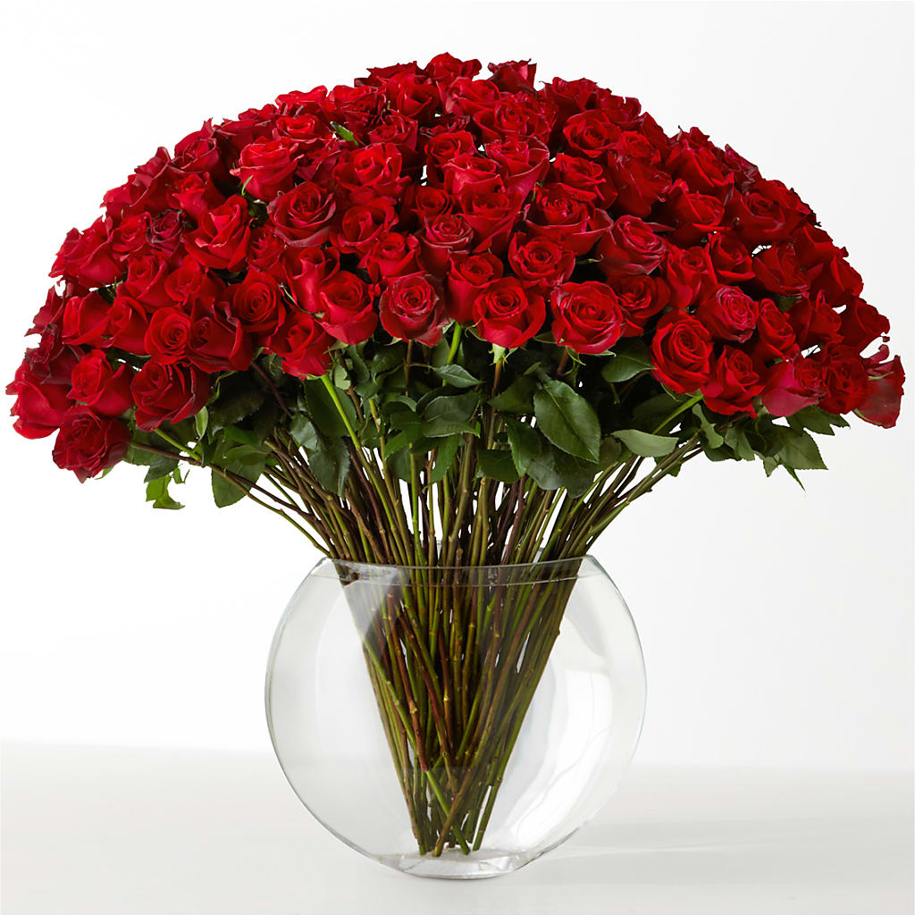 The Idealist – MC MAHON'S HOUSE OF FLOWERS INC, Kingston ON