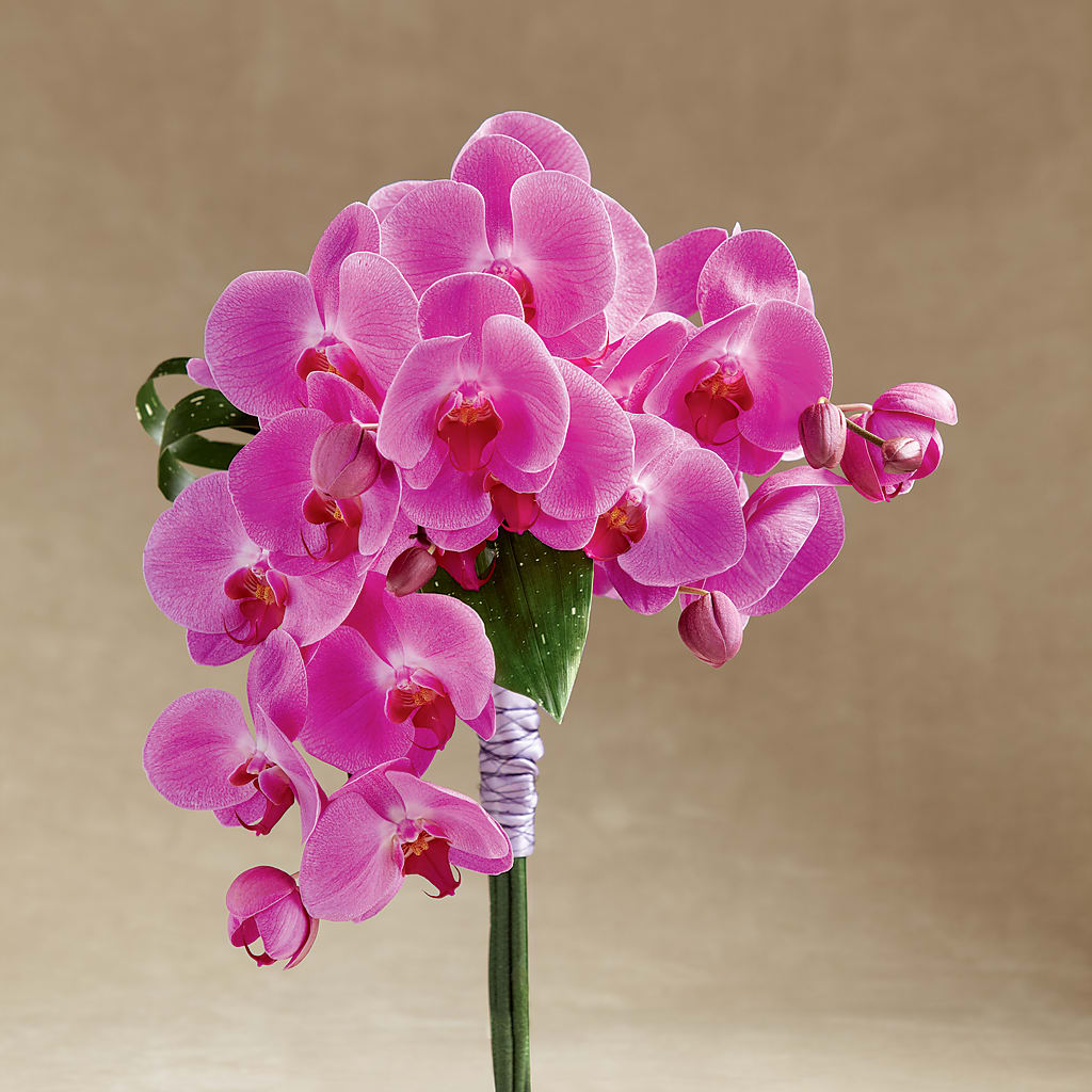 Glorious Bouquet – MC MAHON'S HOUSE OF FLOWERS INC, Kingston ON