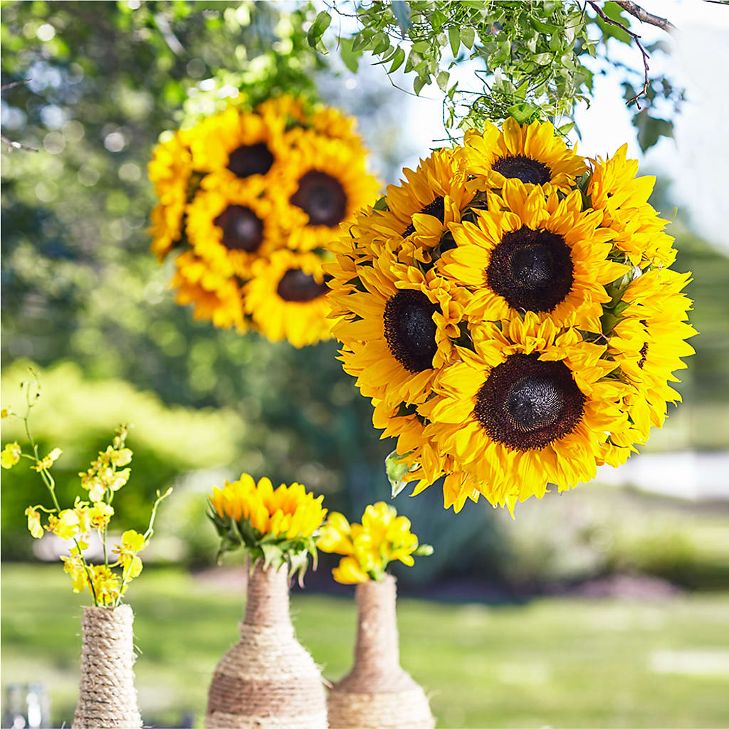 Sublime Garden Hanging Arrangement – MC MAHON'S HOUSE OF FLOWERS INC, Kingston ON