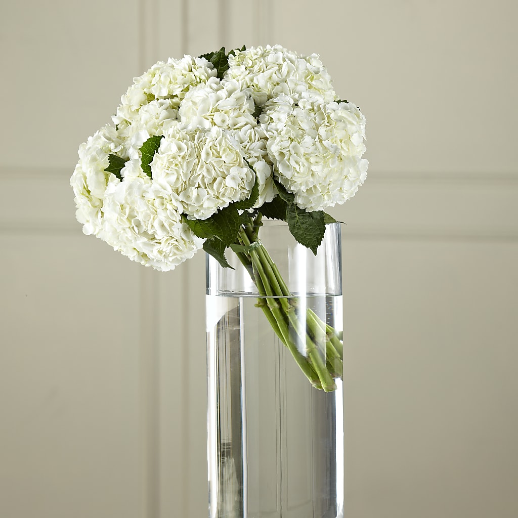 White Hydrangea Hand-Tied Bouquet – MC MAHON'S HOUSE OF FLOWERS INC, Kingston ON