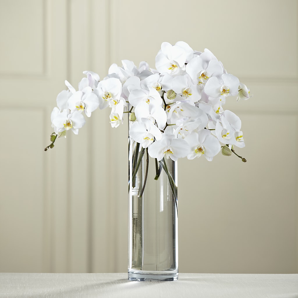 White Phalaenopsis Bouquet – MC MAHON'S HOUSE OF FLOWERS INC, Kingston ON