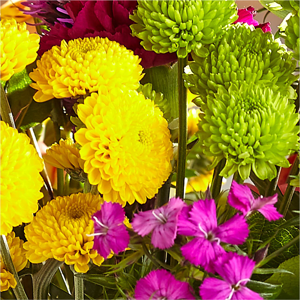 Bold & Bright – A Florist Original – MC MAHON'S HOUSE OF FLOWERS INC, Kingston ON