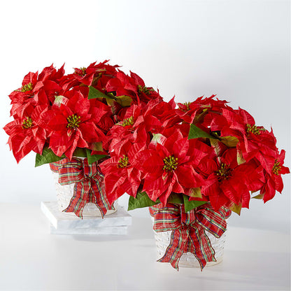 Happiest Holidays Poinsettia Bundle – MC MAHON'S HOUSE OF FLOWERS INC, Kingston ON