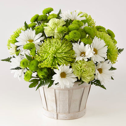 Lucky Charm Basket (Standard) – MC MAHON'S HOUSE OF FLOWERS INC, Kingston ON