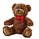 Adorable Plush Bear – MC MAHON'S HOUSE OF FLOWERS INC, Kingston ON