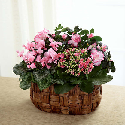 Pink Assortment – MC MAHON'S HOUSE OF FLOWERS INC, Kingston ON