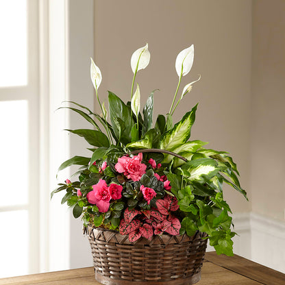 Dream in Pink Dishgarden – MC MAHON'S HOUSE OF FLOWERS INC, Kingston ON