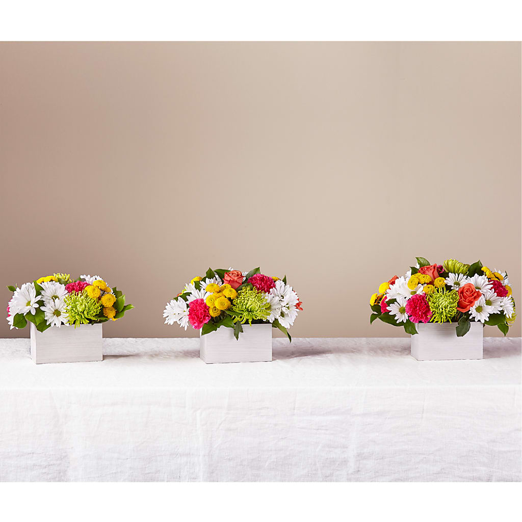 Sorbet Bouquet – MC MAHON'S HOUSE OF FLOWERS INC, Kingston ON