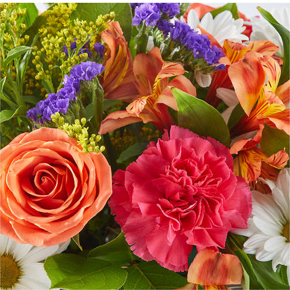 Oopsie Daisy Box Bouquet – MC MAHON'S HOUSE OF FLOWERS INC, Kingston ON
