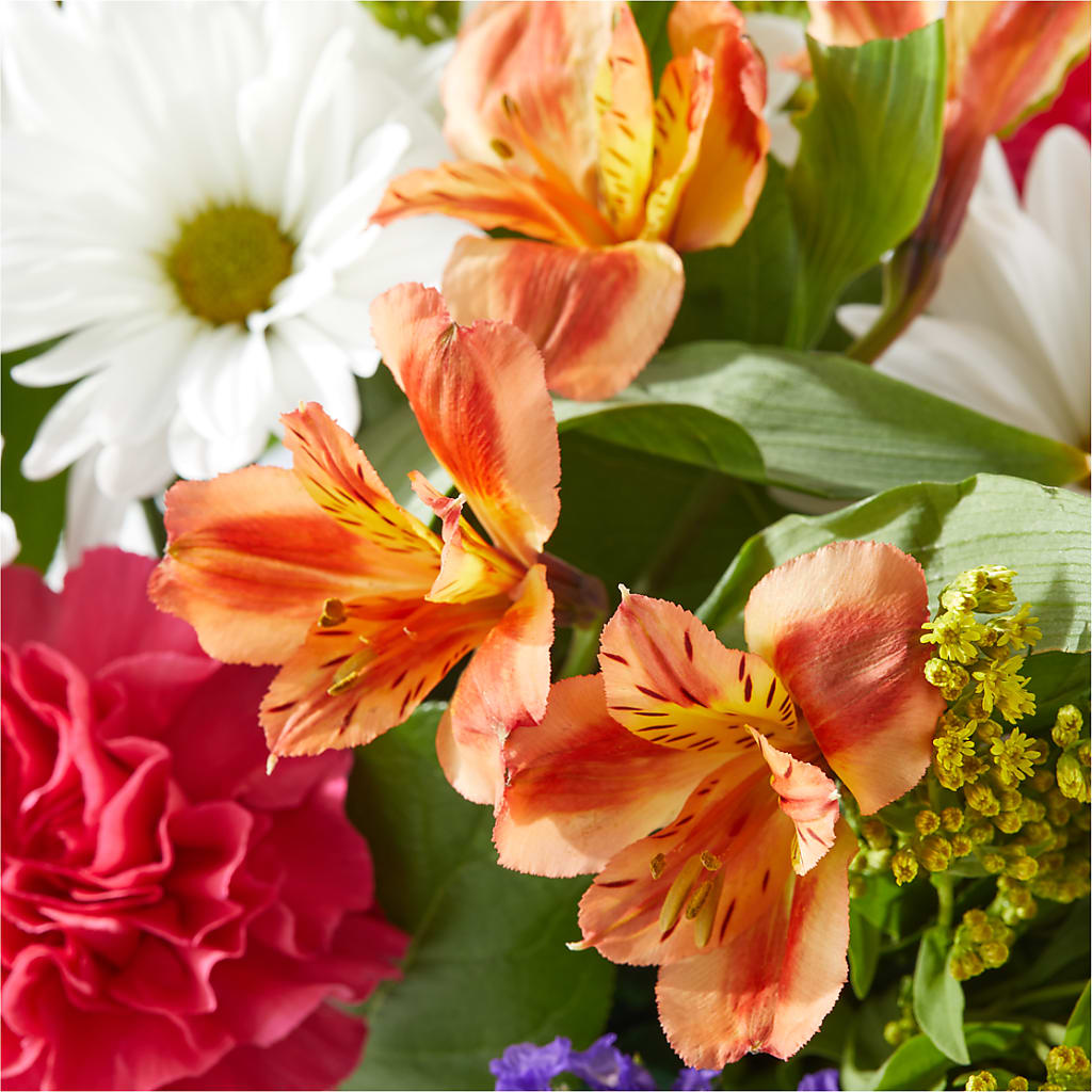 Oopsie Daisy Box Bouquet – MC MAHON'S HOUSE OF FLOWERS INC, Kingston ON