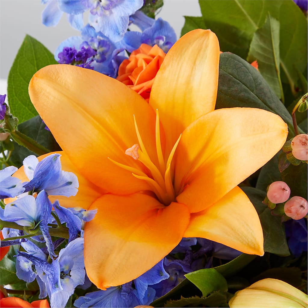 Radiant Citrus Box Bouquet – MC MAHON'S HOUSE OF FLOWERS INC, Kingston ON