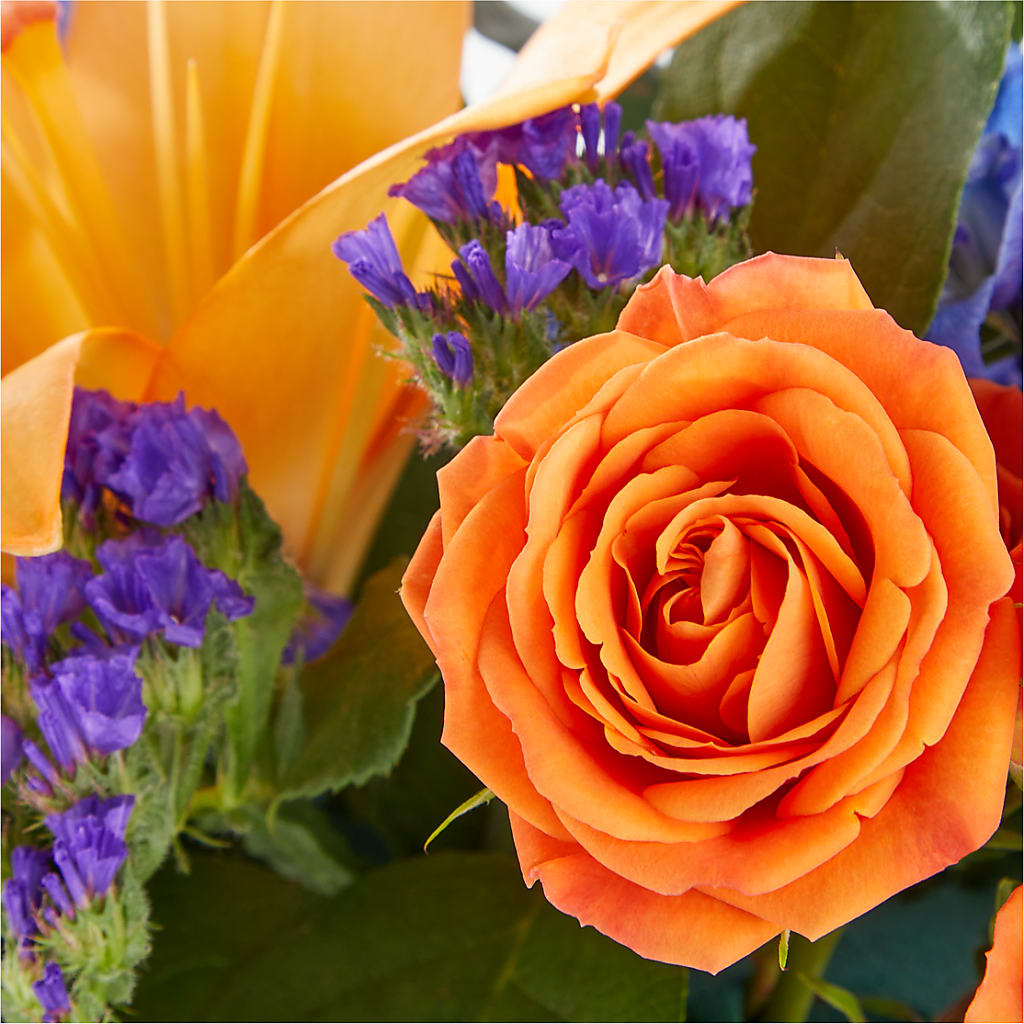 Radiant Citrus Box Bouquet – MC MAHON'S HOUSE OF FLOWERS INC, Kingston ON
