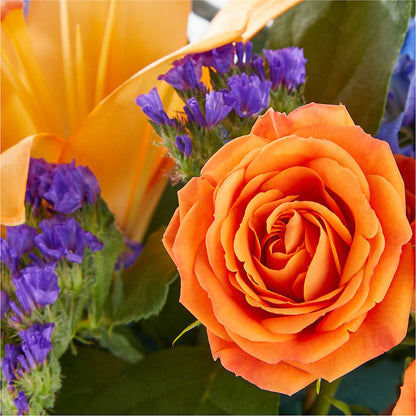Radiant Citrus Box Bouquet – MC MAHON'S HOUSE OF FLOWERS INC, Kingston ON