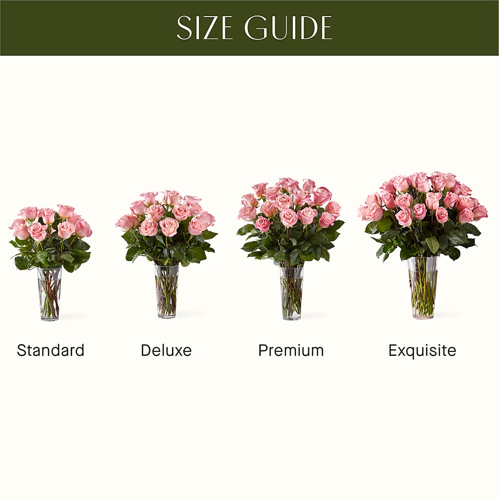 Long Stem Pink Rose Bouquet – MC MAHON'S HOUSE OF FLOWERS INC, Kingston ON