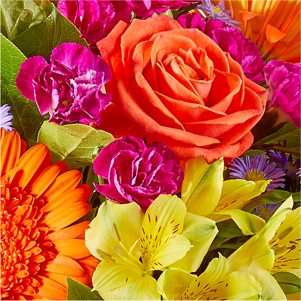 Tricks & Treats Pumpkin – MC MAHON'S HOUSE OF FLOWERS INC, Kingston ON