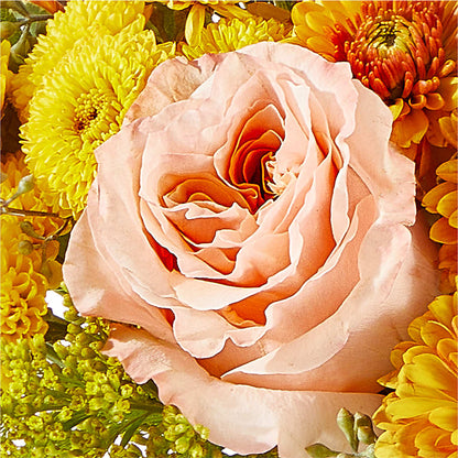 Peachy Pumpkin – MC MAHON'S HOUSE OF FLOWERS INC, Kingston ON