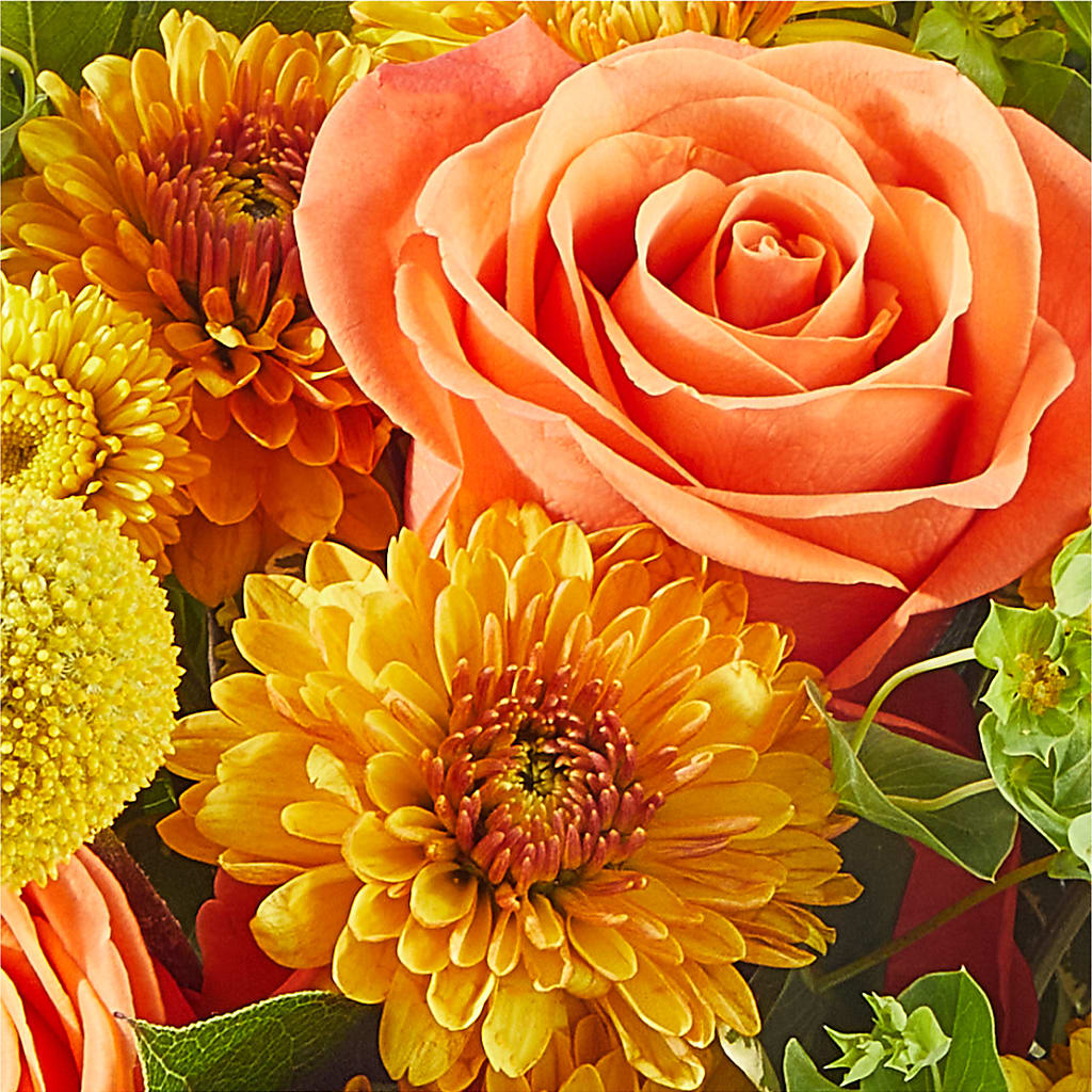 Gourdgeous Pumpkin – MC MAHON'S HOUSE OF FLOWERS INC, Kingston ON