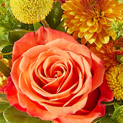 Gourdgeous Pumpkin – MC MAHON'S HOUSE OF FLOWERS INC, Kingston ON