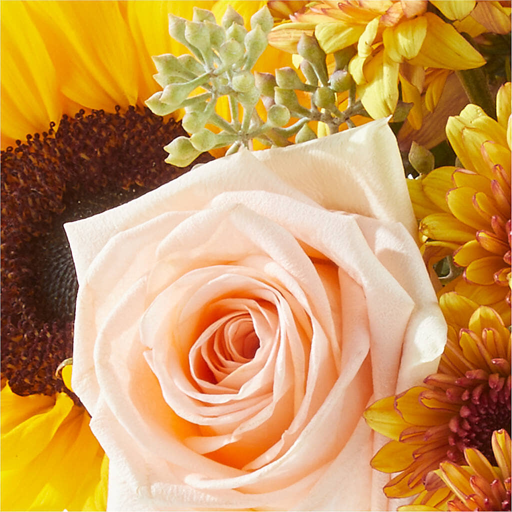 Pumpkin to Talk About Bouquet – MC MAHON'S HOUSE OF FLOWERS INC, Kingston ON