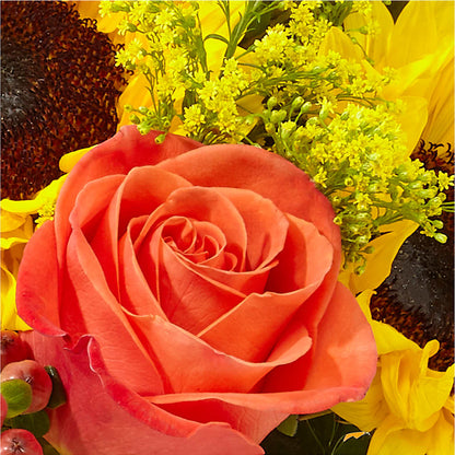 Pick of the Patch Pumpkin Bouquet – MC MAHON'S HOUSE OF FLOWERS INC, Kingston ON