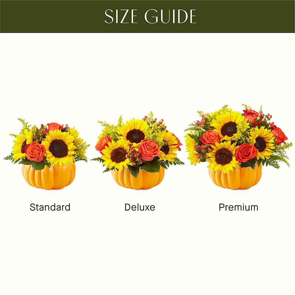Pick of the Patch Pumpkin Bouquet – MC MAHON'S HOUSE OF FLOWERS INC, Kingston ON