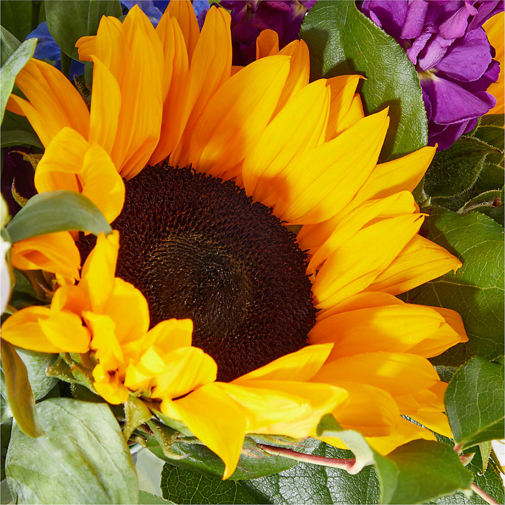 Catching Rays Bouquet – MC MAHON'S HOUSE OF FLOWERS INC, Kingston ON