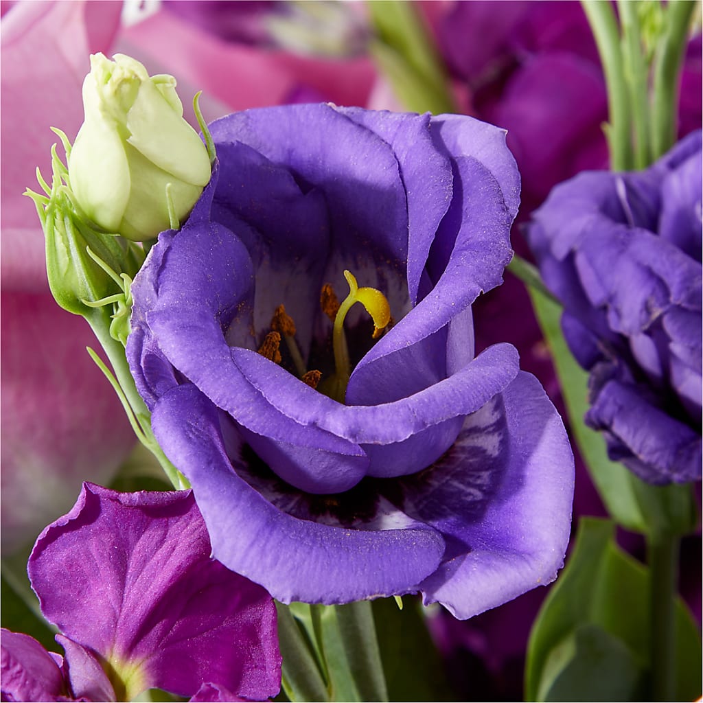 Twilight Glow Bouquet – MC MAHON'S HOUSE OF FLOWERS INC, Kingston ON
