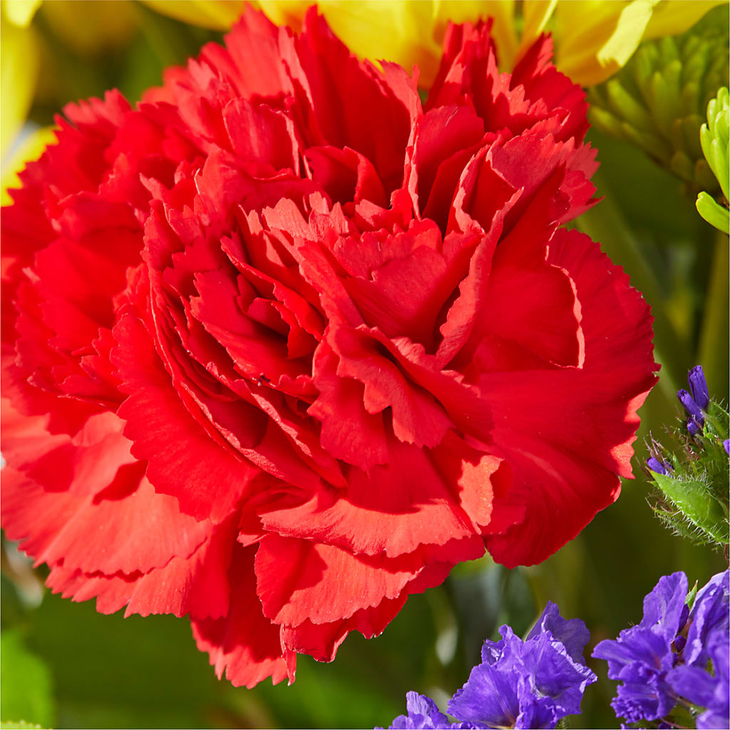 Brighter Days Bouquet – MC MAHON'S HOUSE OF FLOWERS INC, Kingston ON