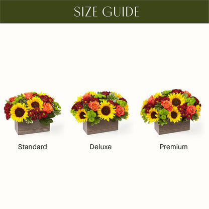Happy Harvest Garden – MC MAHON'S HOUSE OF FLOWERS INC, Kingston ON