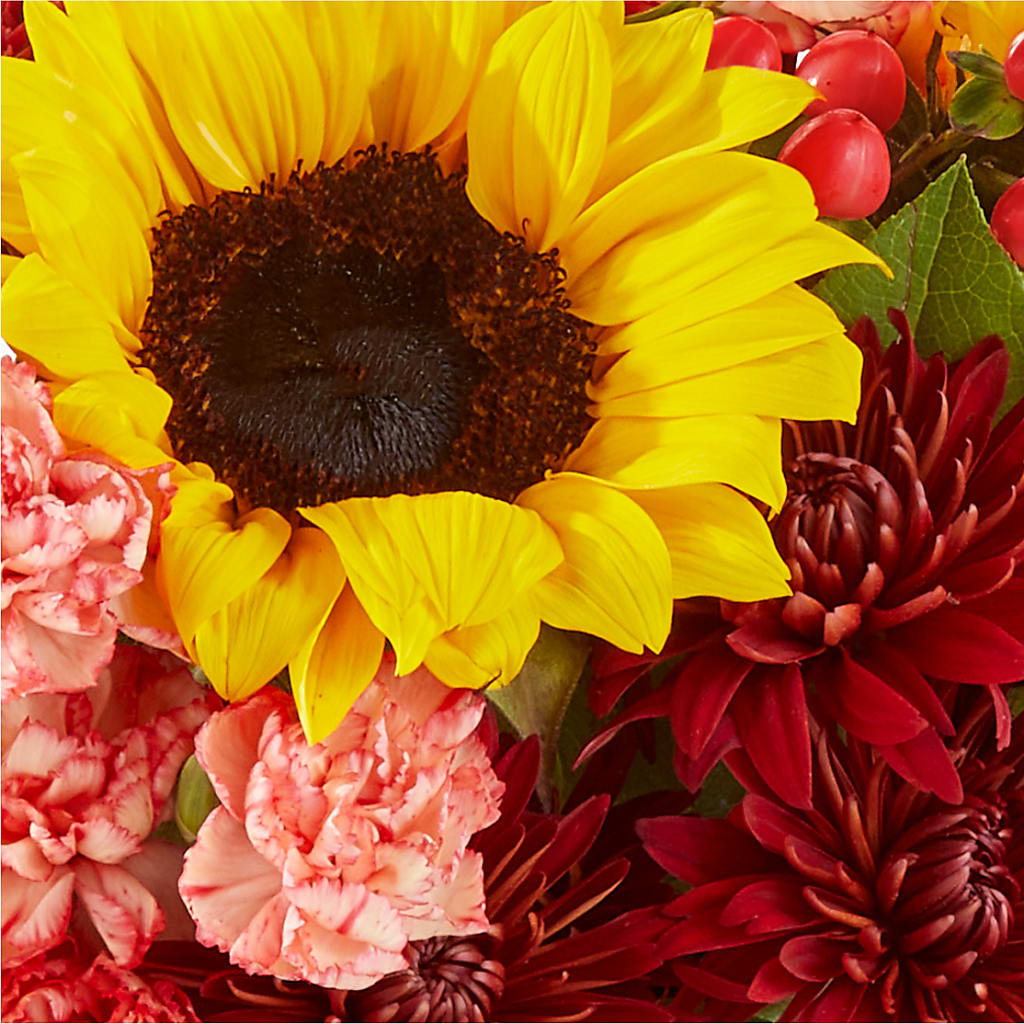 Fresh Cider Bouquet – MC MAHON'S HOUSE OF FLOWERS INC, Kingston ON