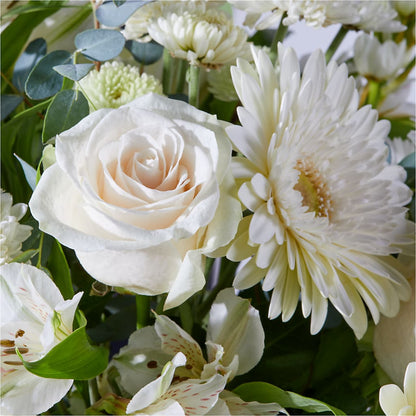 New Beginnings – A Florist Original – MC MAHON'S HOUSE OF FLOWERS INC, Kingston ON