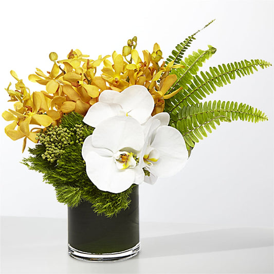 The Tropics – MC MAHON'S HOUSE OF FLOWERS INC, Kingston ON