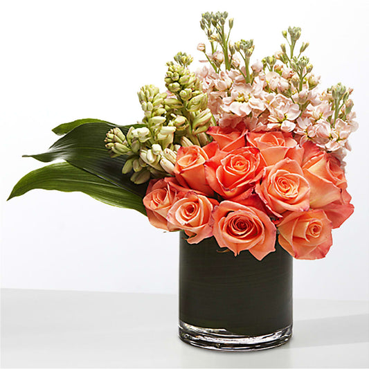 The Moment – MC MAHON'S HOUSE OF FLOWERS INC, Kingston ON