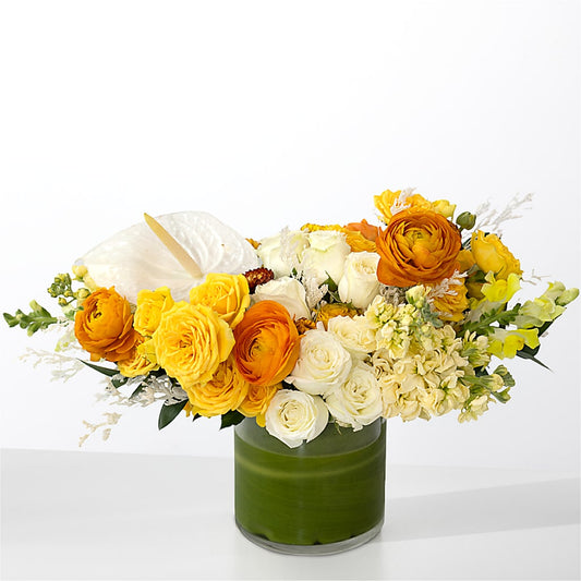 The Optimist – MC MAHON'S HOUSE OF FLOWERS INC, Kingston ON