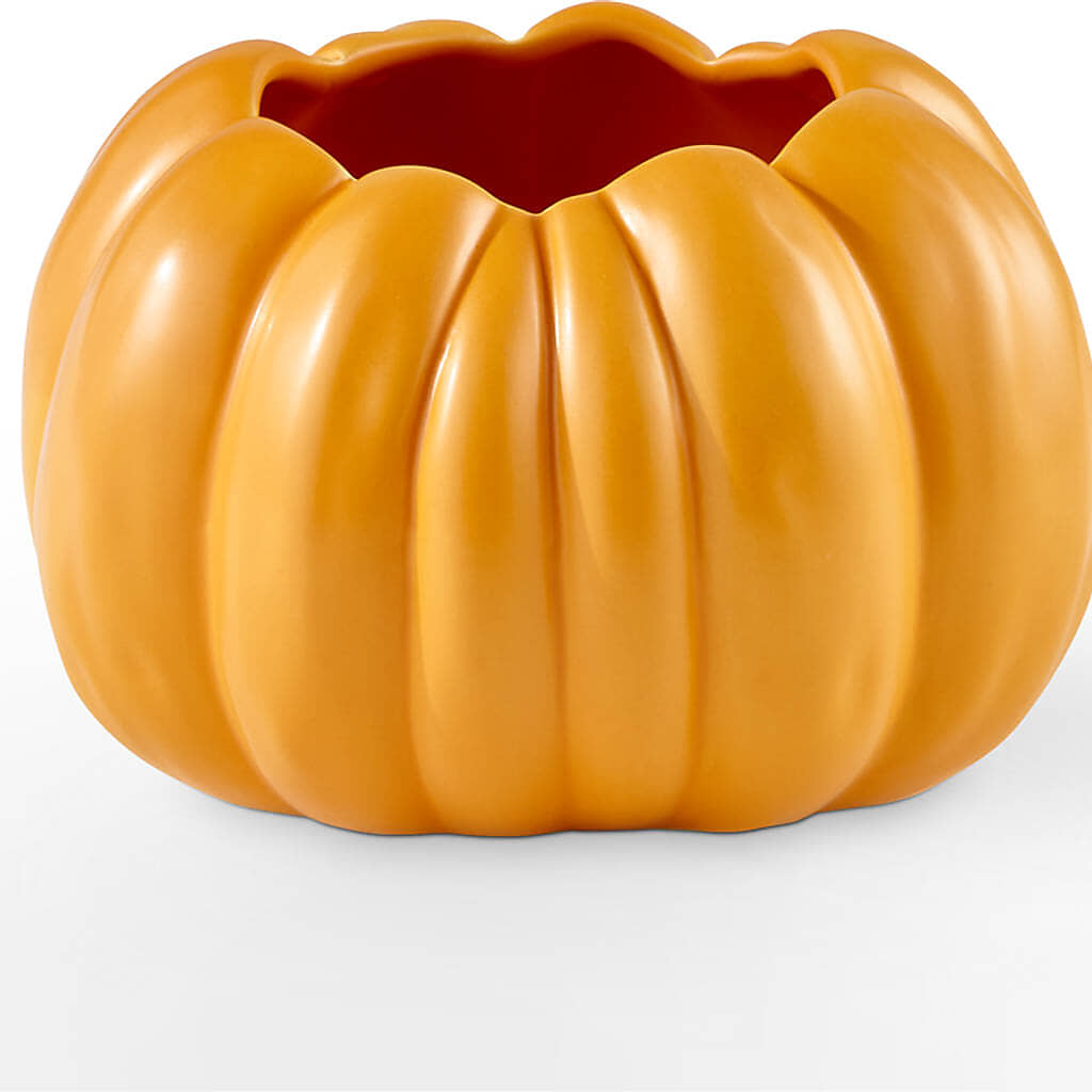 Golden Gourd Pumpkin Bouquet – MC MAHON'S HOUSE OF FLOWERS INC, Kingston ON